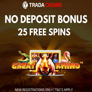 What is a no deposit bonus code for?A no deposit bonus code is simply a code you need to input to activate the offer. Not all casinos have a code which must be used. When they do, it